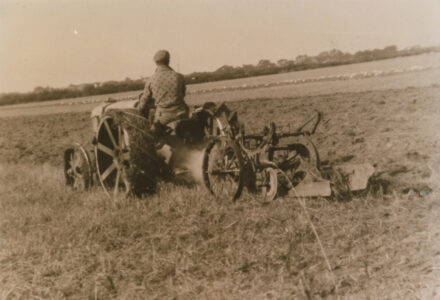 Man ploughing field - thumbnail image