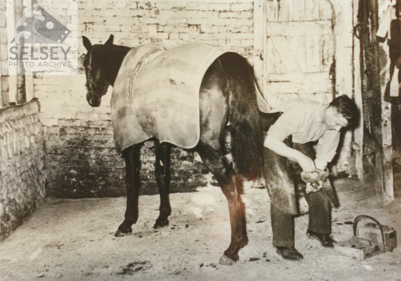 Farrier or blacksmith at work - featured image