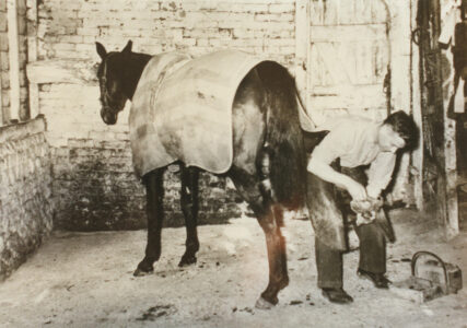 Farrier or blacksmith at work - thumbnail image