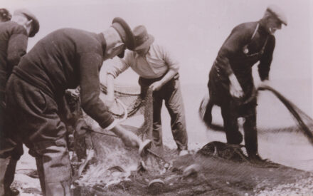 Fishermen removing their catch from nets - thumbnail image