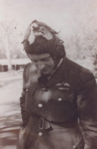 RAF pilot - thumbnail image