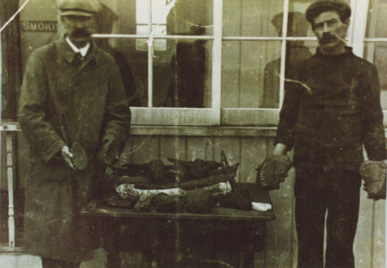 Mammoth find - thumbnail image