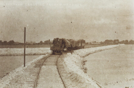 “Selsey Tram crossing Pagham Harbour” - thumbnail image