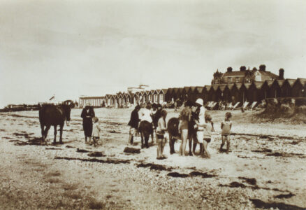 Marine beach - thumbnail image