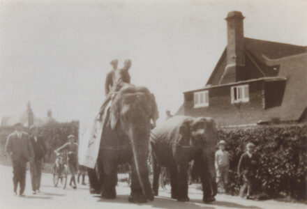 Circus - thumbnail image