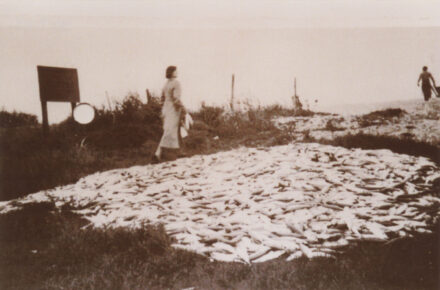 Scene with mackerel - thumbnail image