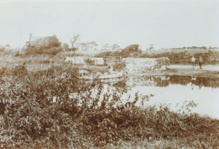 Crablands Pond - thumbnail image