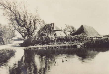 Crablands pond - thumbnail image