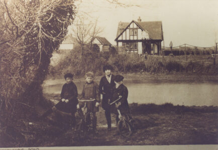 Crablands pond - thumbnail image