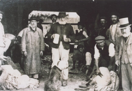 Sheepshearers - thumbnail image