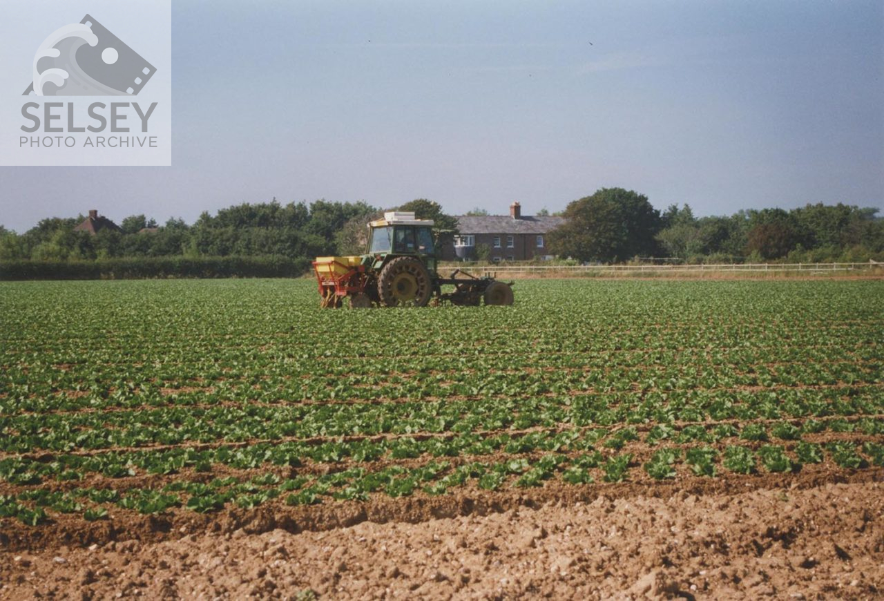 Selsey: Farm vehicle in field of lettuce on “Nature’s Way” land. - featured image