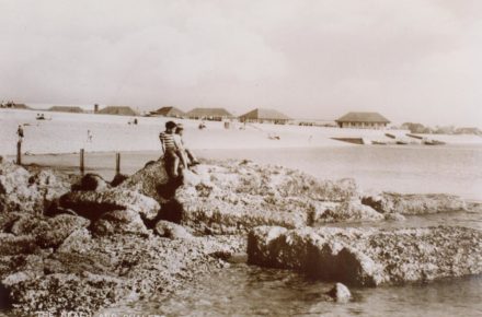 Selsey: East Beach with Broadreeds in background - thumbnail image