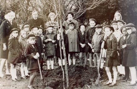Selsey: Brownies - thumbnail image