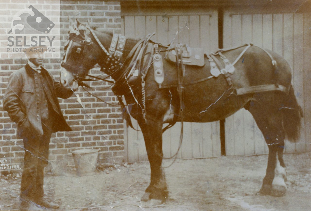 Man and Horse - featured image