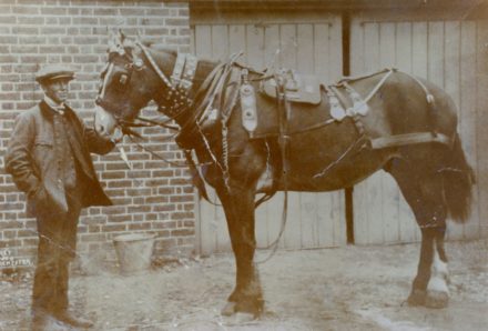 Man and Horse - thumbnail image