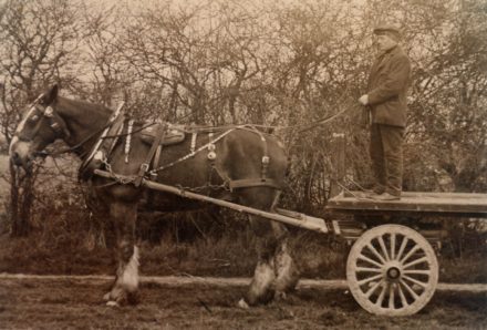 Horse and Cart - thumbnail image