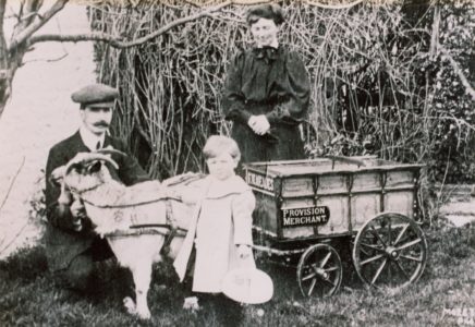 FW Meades Goat Cart - thumbnail image